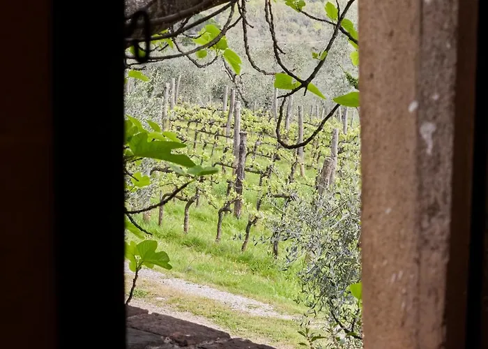 Certosa Di Pontignano Residenza D'epoca - Place Of Charme Hotel Ponte A Bozzone