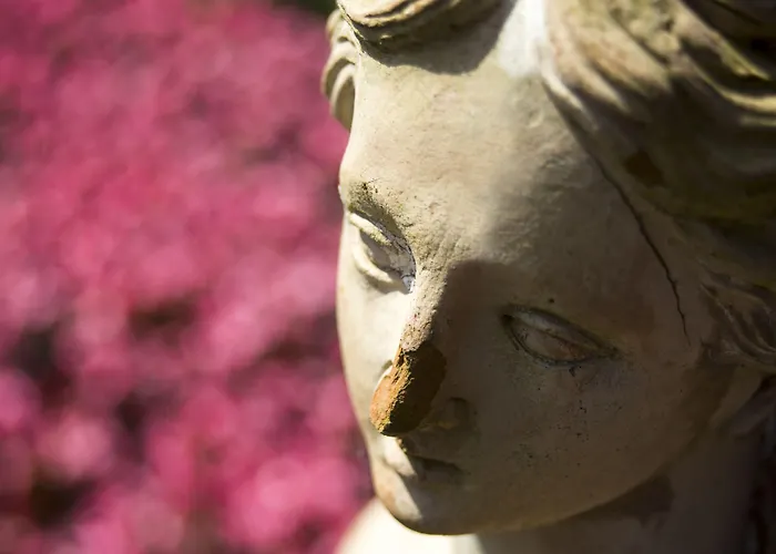 Certosa Di Pontignano Residenza D'epoca - Place Of Charme